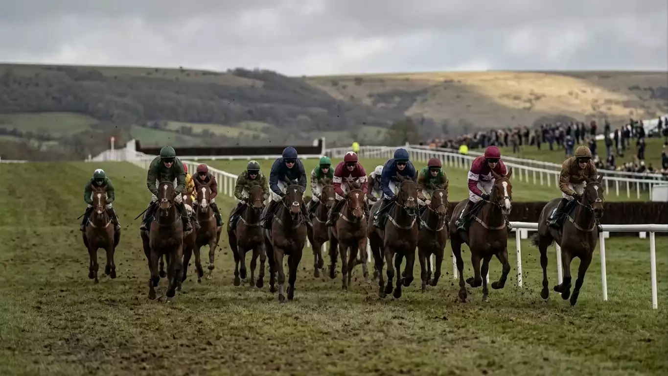 A jumps field at full gallop down the Cheltenham hill in front of the packed grandstand during the March Festival, the meeting that drives the highest betting turnover per race in British National Hunt